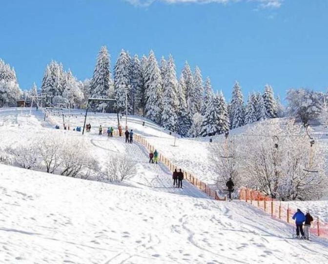 Hokk Hotel Фрайбург Экстерьер фото